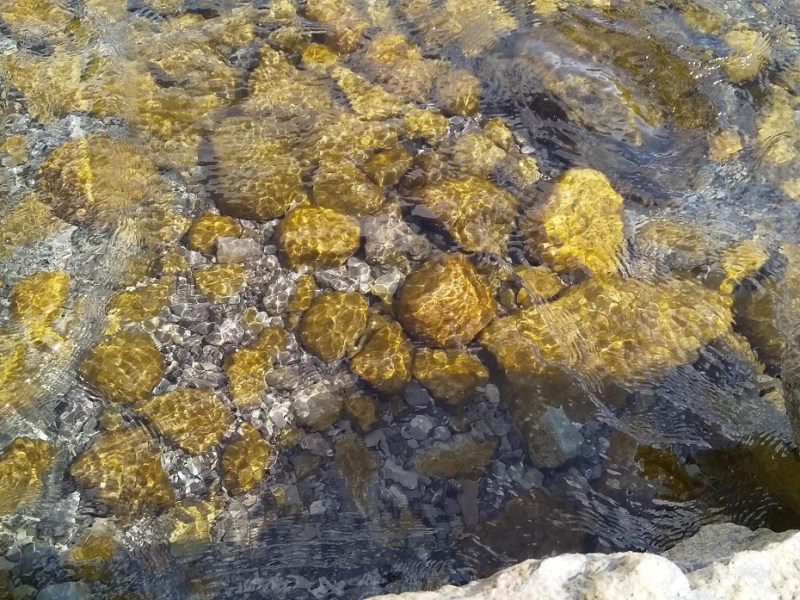 I am not indigenous. Can I use indigenous&nbsp;pedagogies?